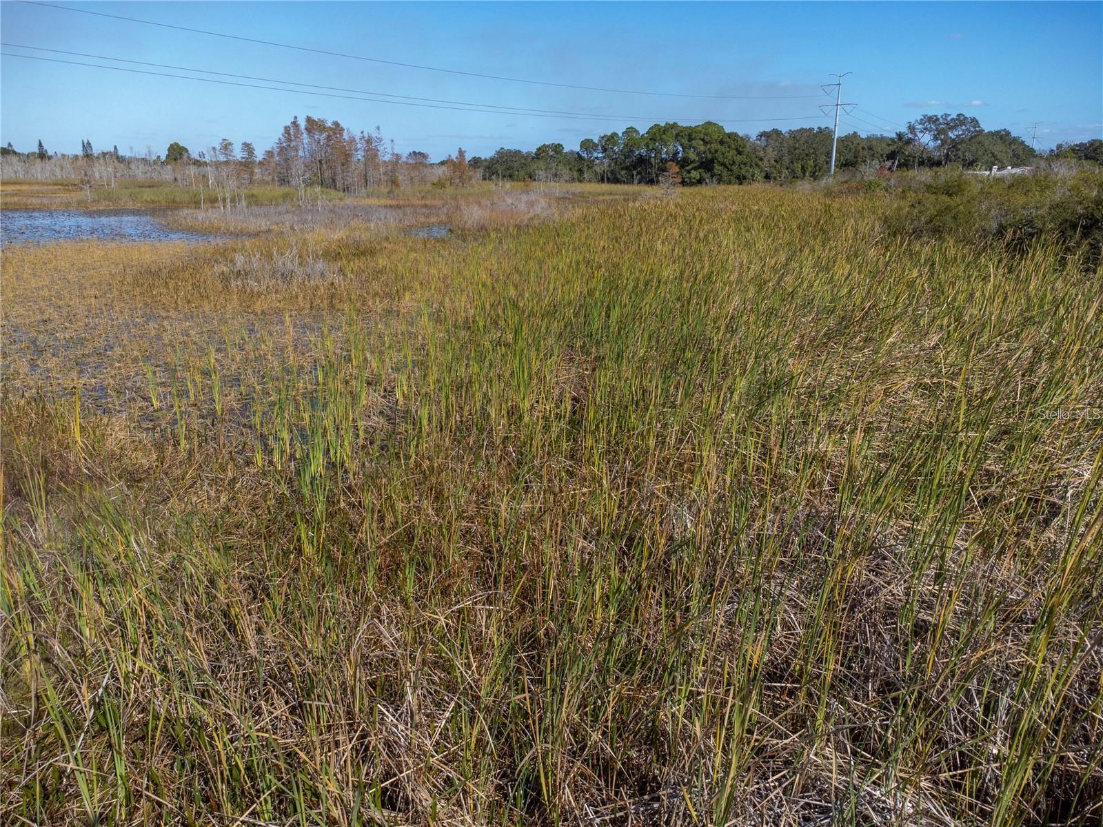 No Address Assigned Property Photo 4