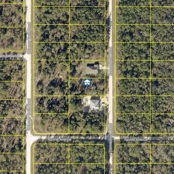 Lot 16 Canvasback Rd Property Photo 1