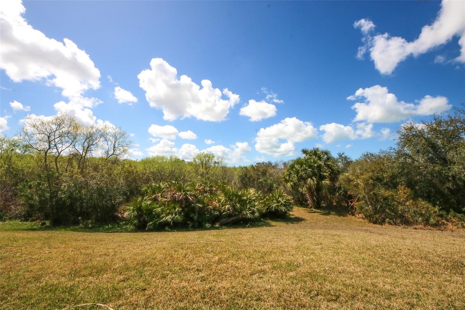 8506 Coral Creek Loop Property Photo 5