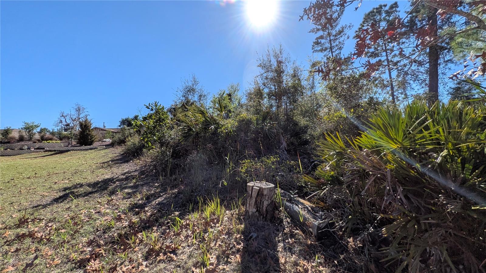 13014 Hanley Dr Property Photo 5