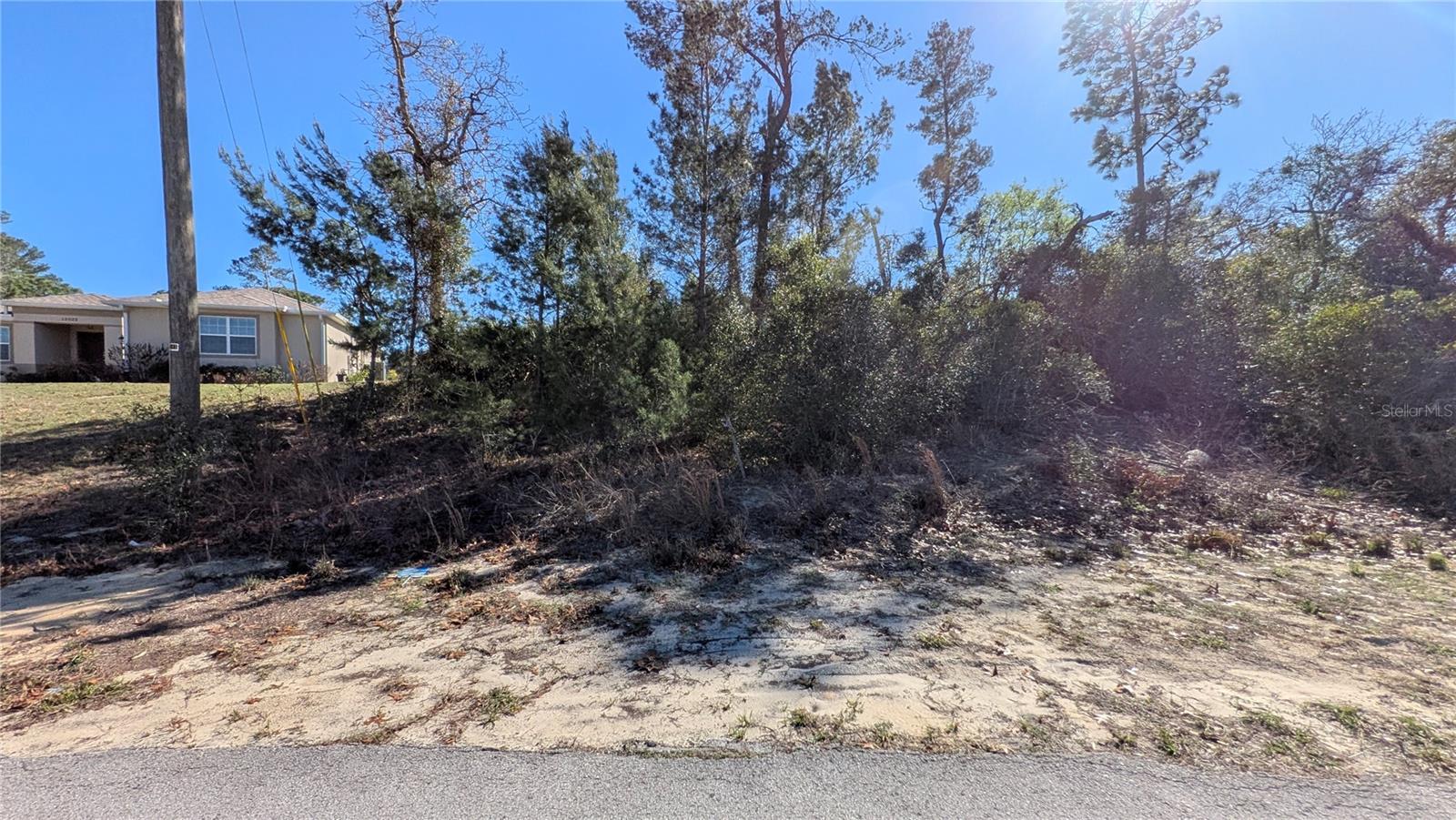 13014 Hanley Dr Property Photo 8
