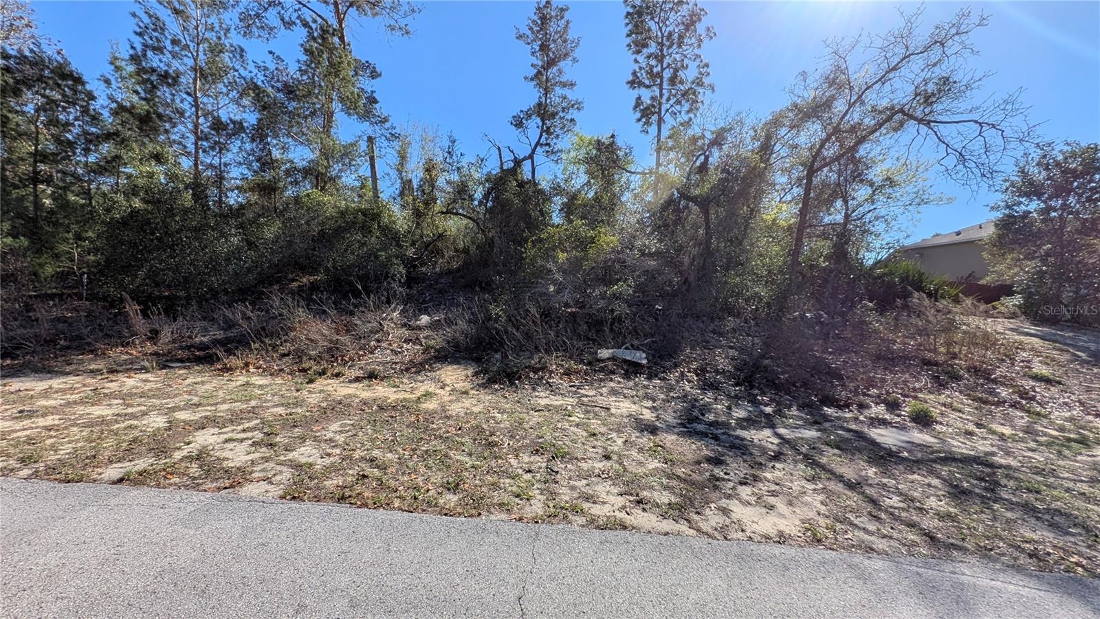13014 Hanley Dr Property Photo 9