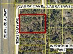 17496 Nicasio Jay Ave Property Photo 4