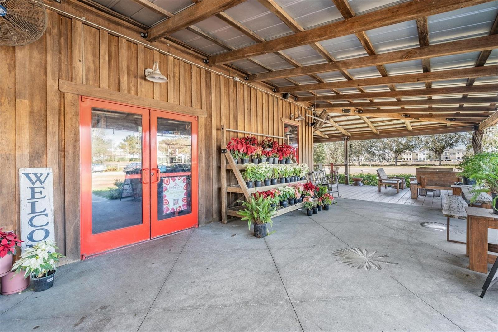 3920 Night Star Trl Property Photo 49