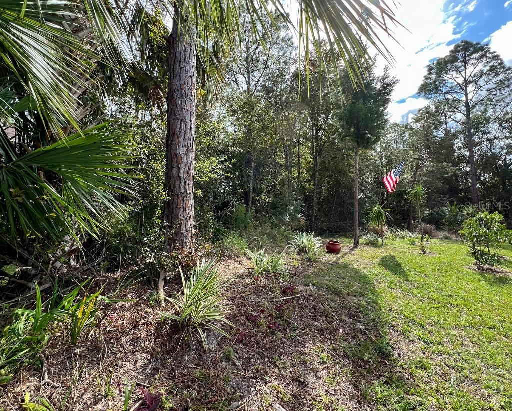 18 Watermill Pl Property Photo 15