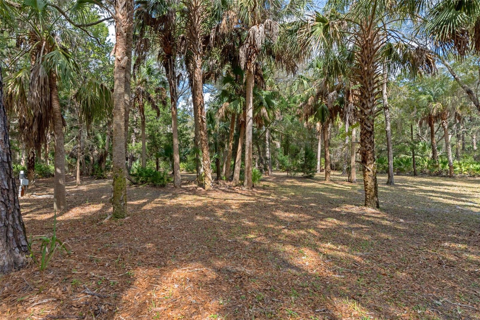 35 Captains Cove Rd Property Photo 63