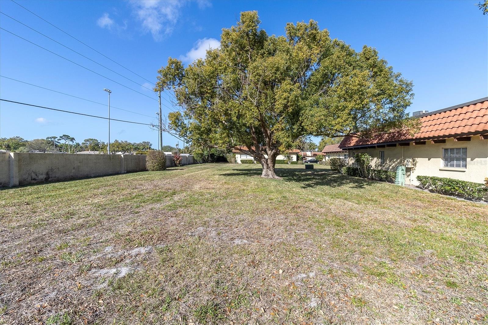 1701 Pinehurst Rd #6a Property Photo 26