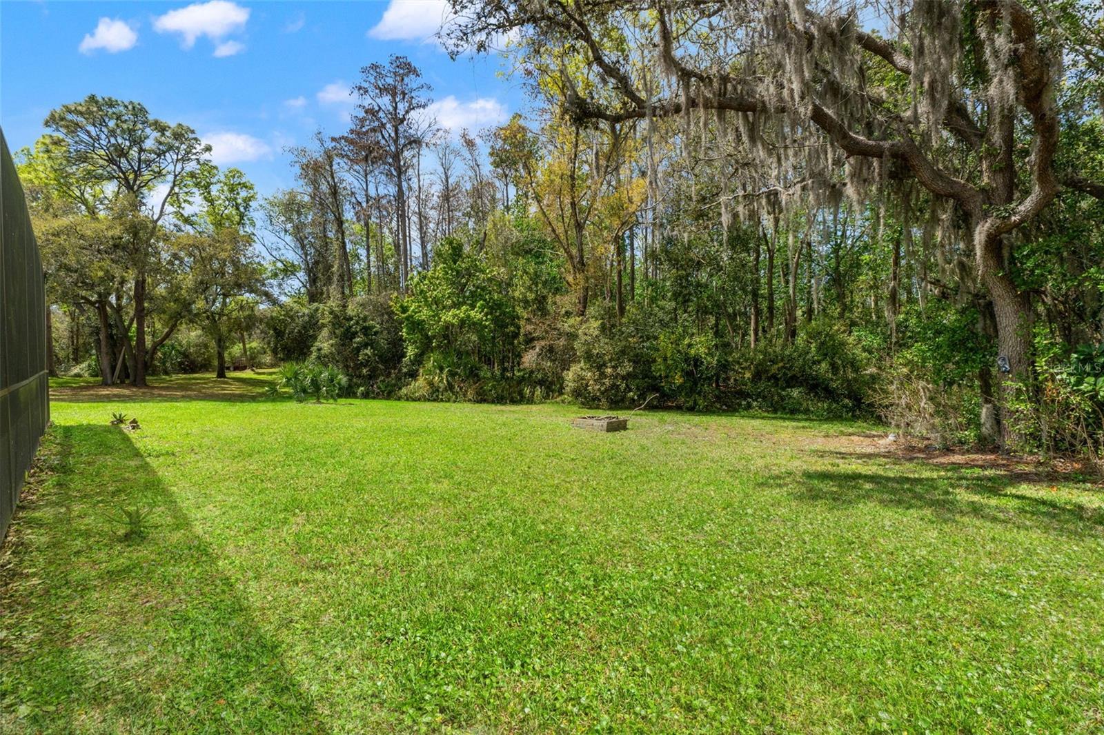 1357 Dinsmore Ct Property Photo 45