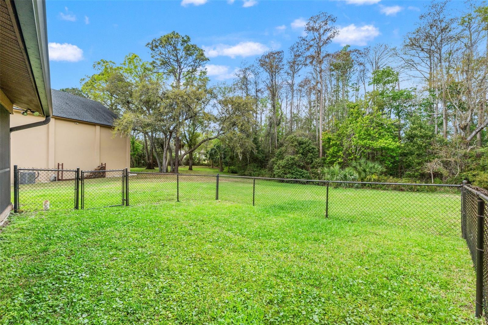 1357 Dinsmore Ct Property Photo 47