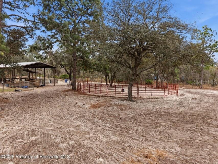 12124 Squeeze Ave Property Photo 62