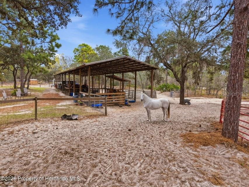 12124 Squeeze Ave Property Photo 63