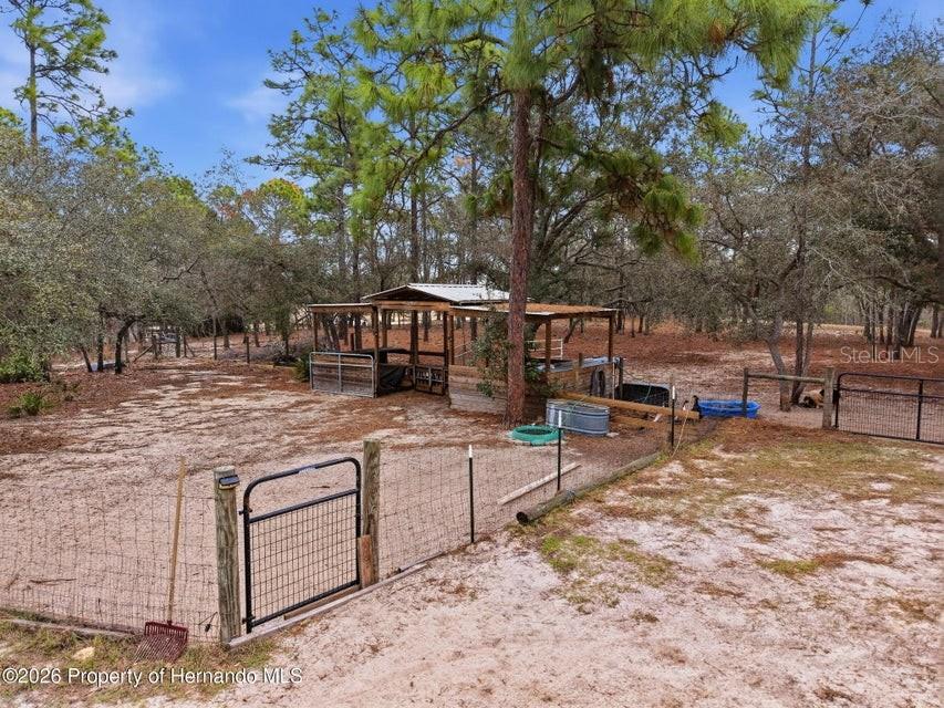 12124 Squeeze Ave Property Photo 68