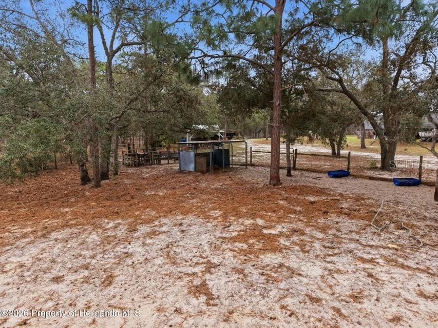 12124 Squeeze Ave Property Photo 69