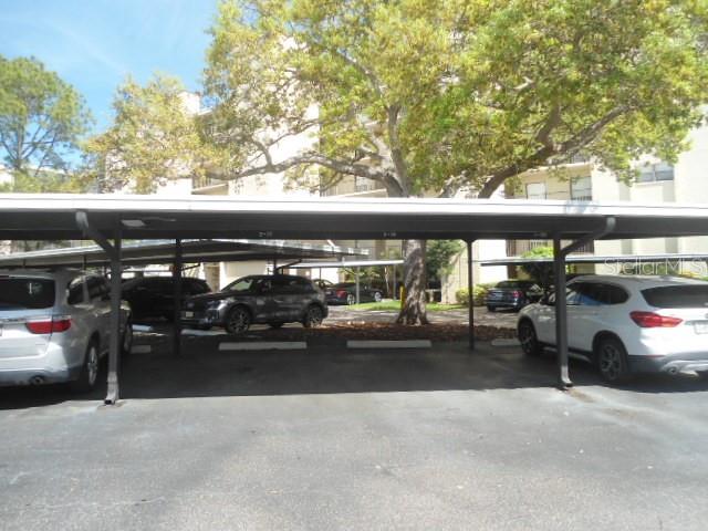 2800 Cove Cay Dr #4d Property Photo 17