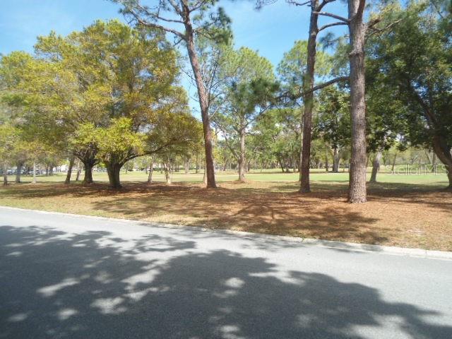 2800 Cove Cay Dr #4d Property Photo 23