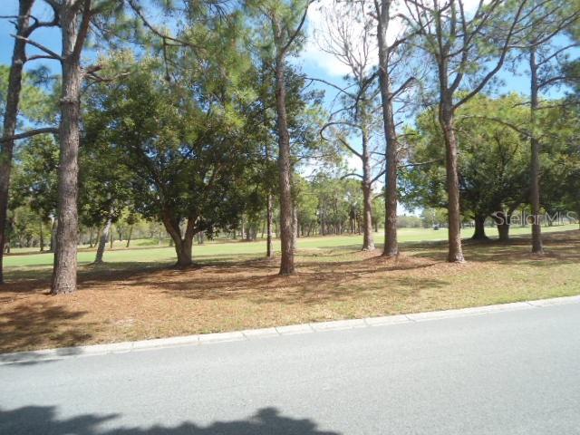 2800 Cove Cay Dr #4d Property Photo 24