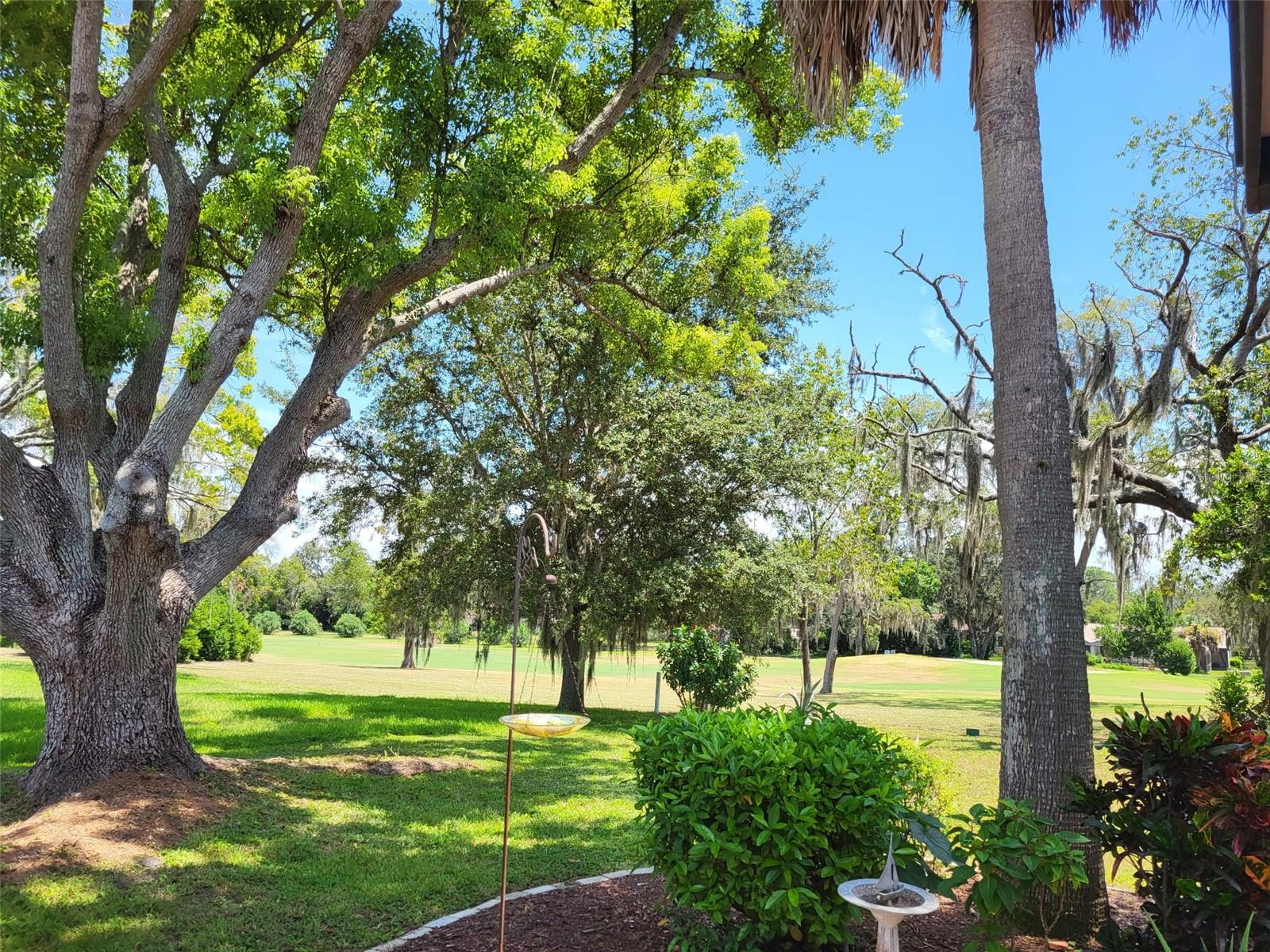 8210 Valley Stream Ln Property Photo 19