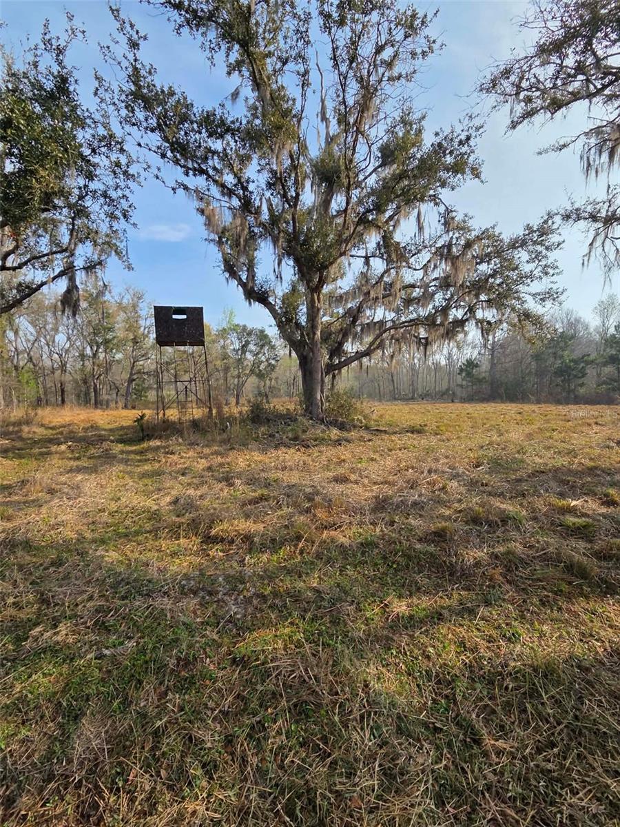 1106 Fox Hunter Rd Property Photo 4