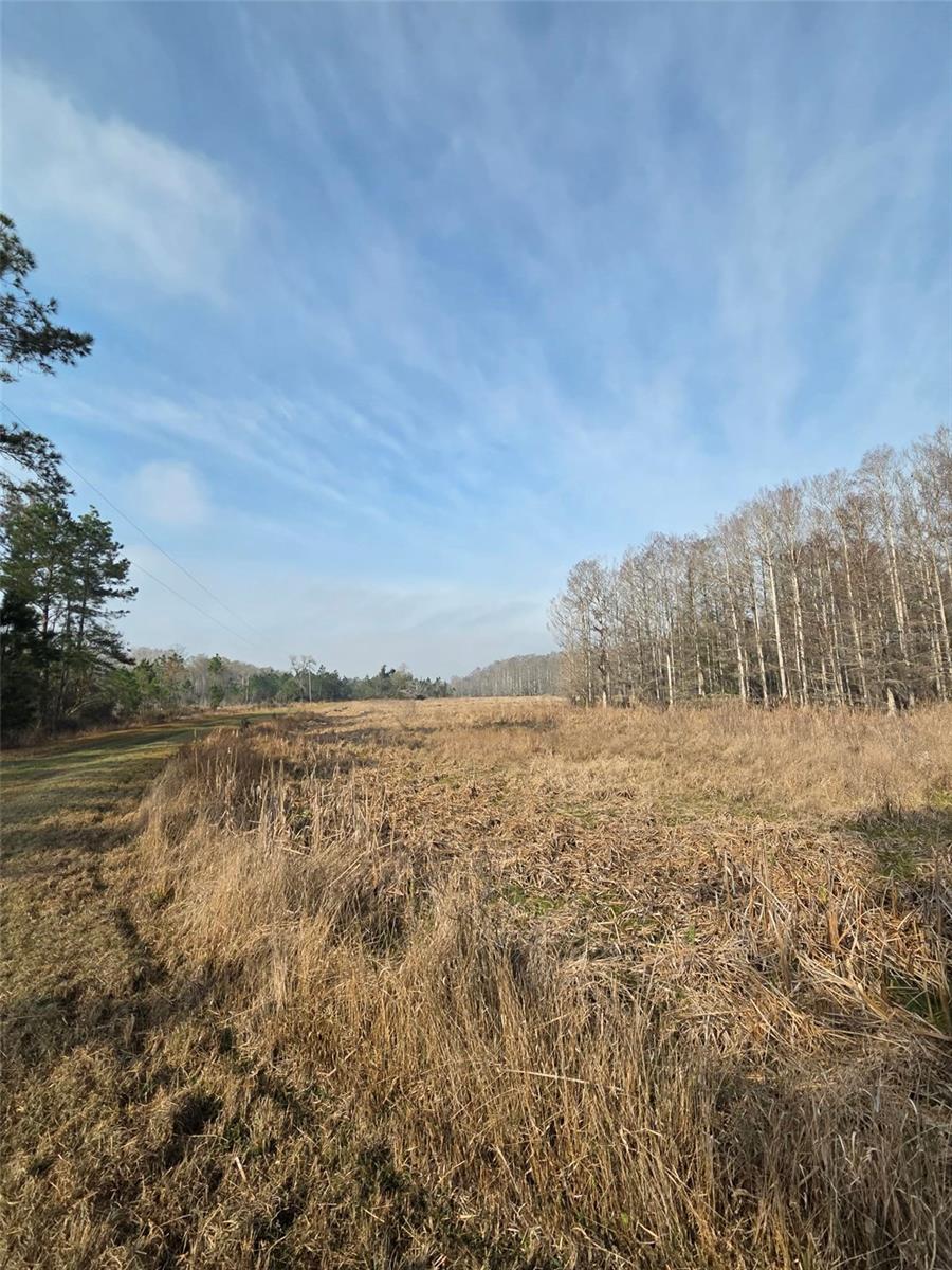 1106 Fox Hunter Rd Property Photo 16