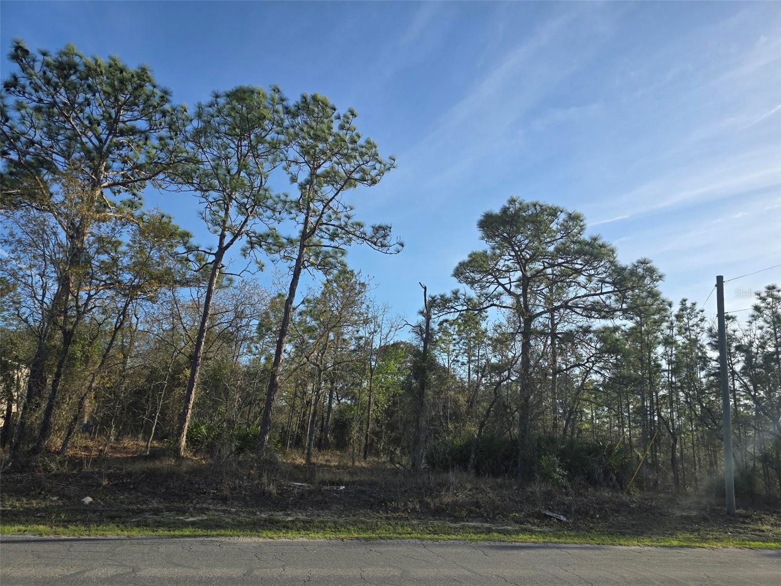 13070 QUIGLEY AVE Property Photo 1
