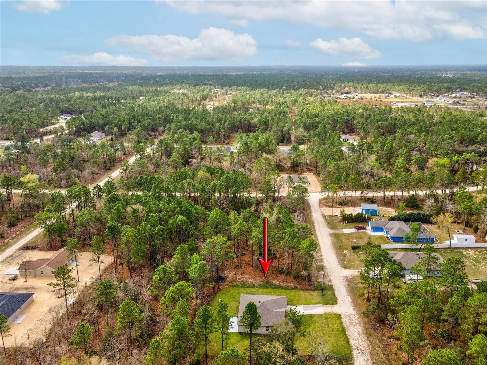 16334 Frost Bird Rd Property Photo 41