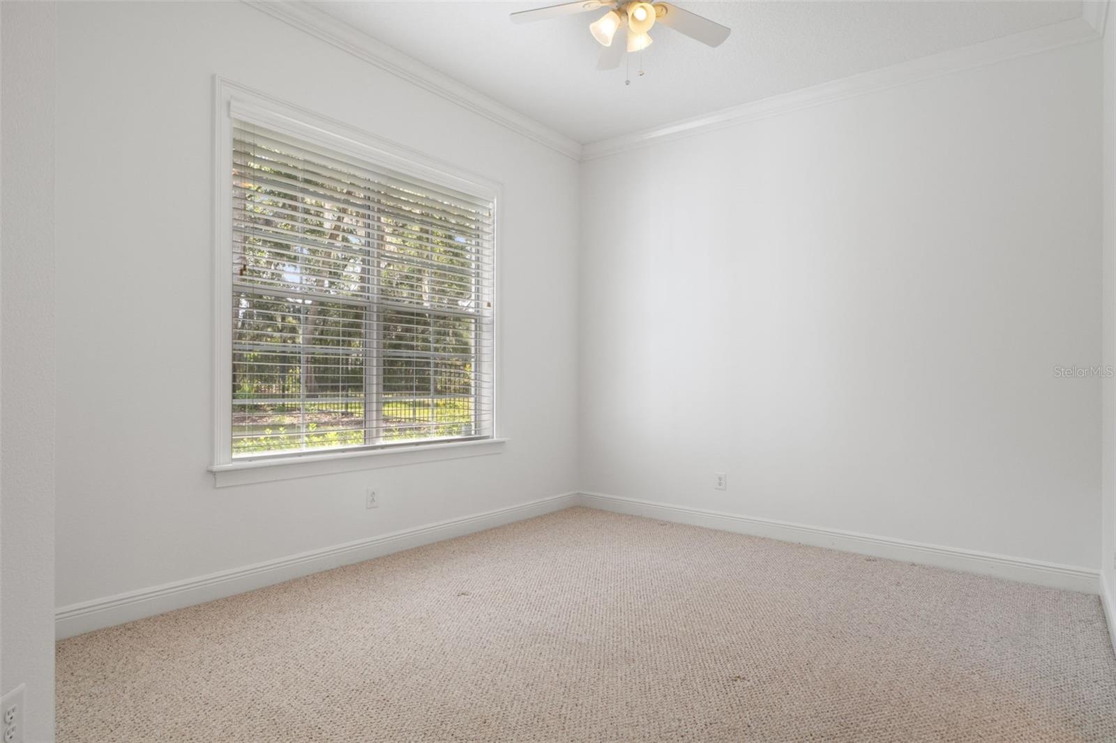 6096 Dusk Rose Ln Property Photo 50