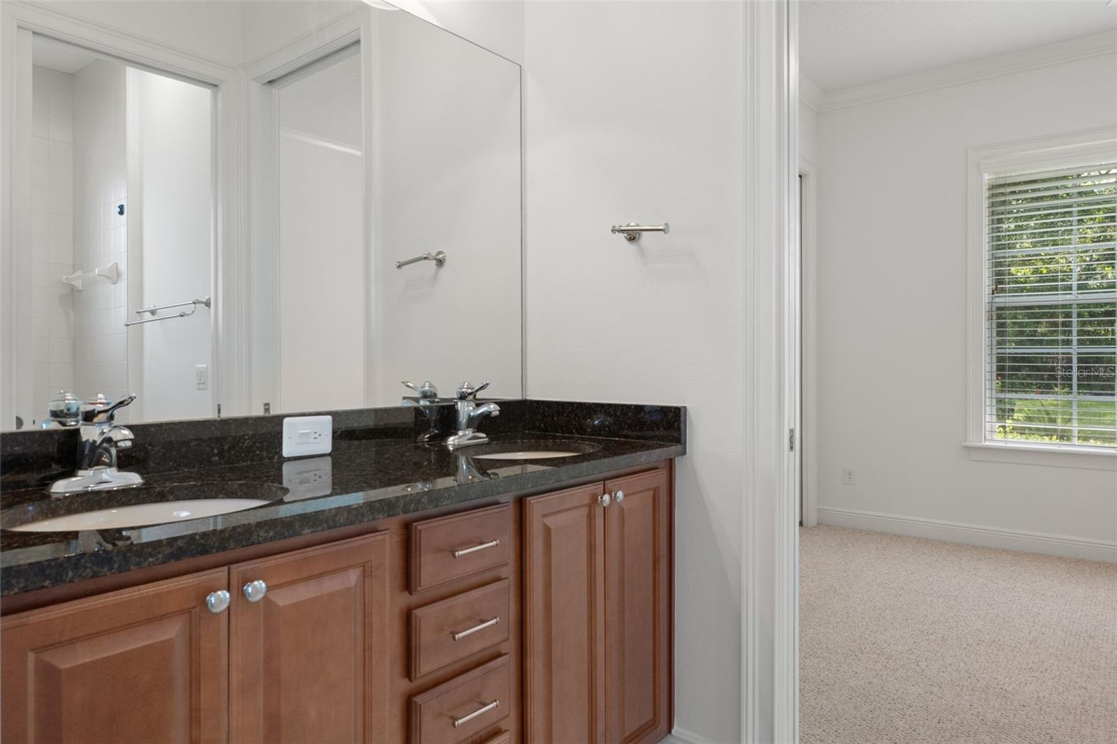 6096 Dusk Rose Ln Property Photo 52