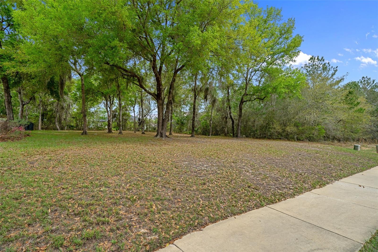 6096 Dusk Rose Ln Property Photo 71