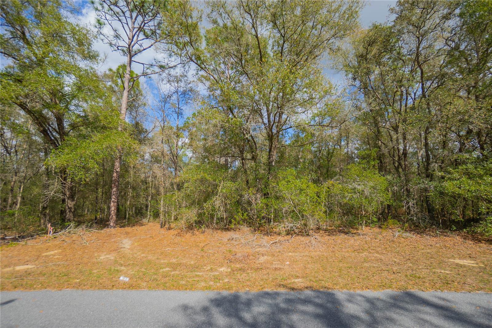 8743 N SANDREE DR Property Photo 1