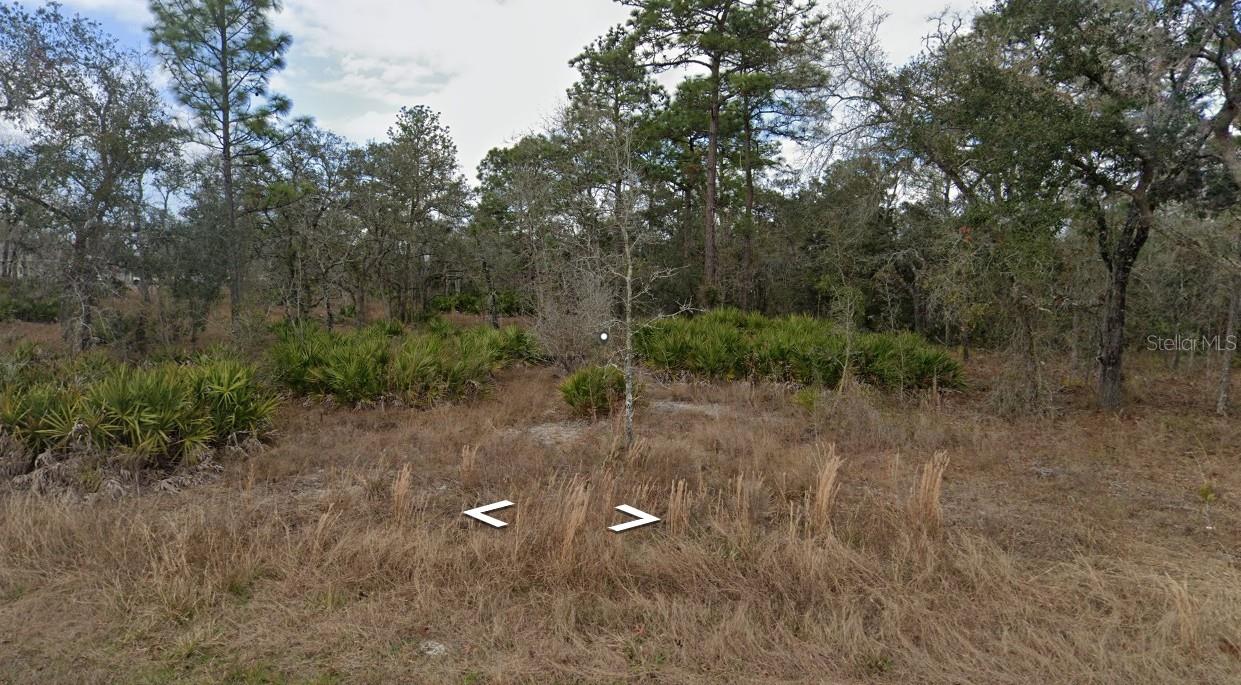 11353 QUILL AVE Property Photo 1
