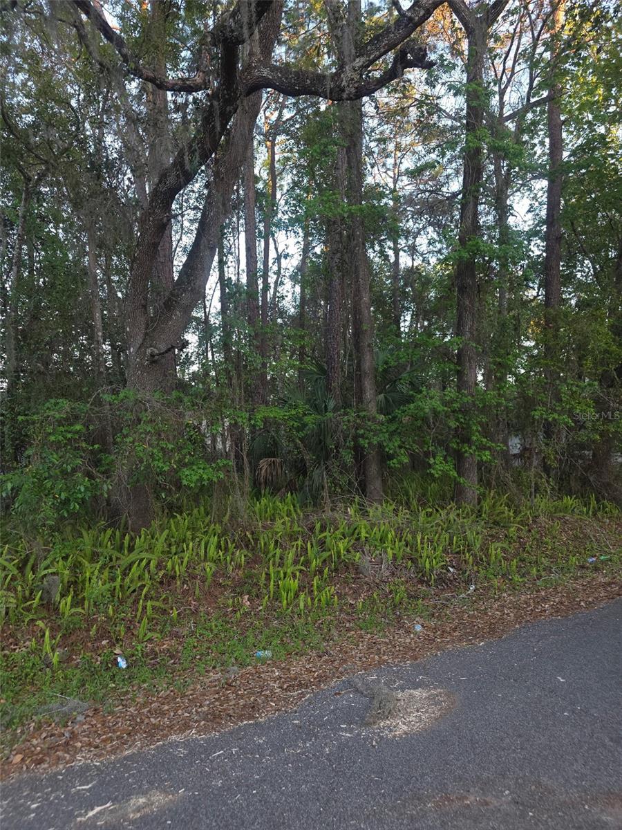 0 BETHUNE ST Property Photo 1