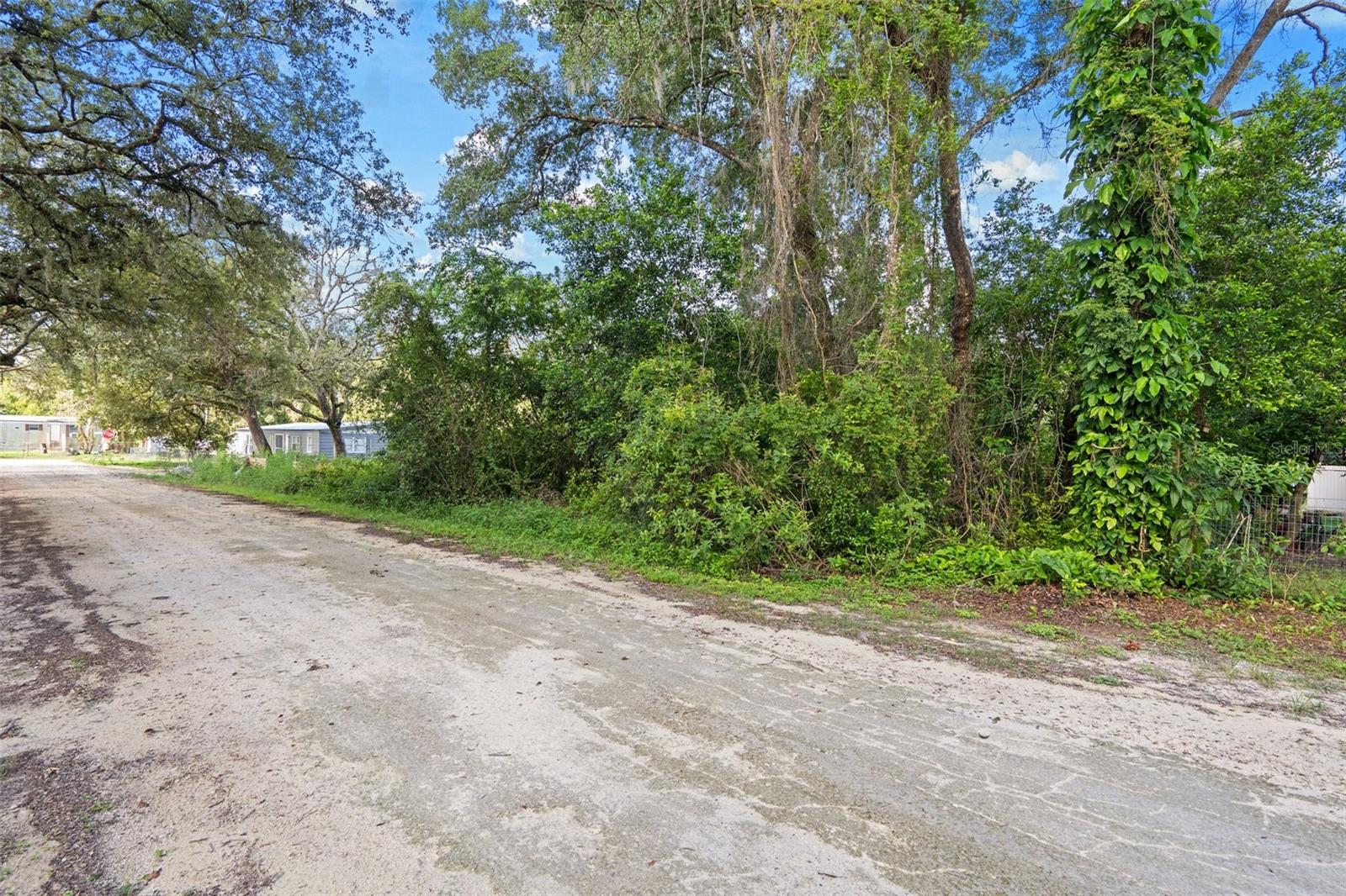3241 Taffeta St Property Photo 3