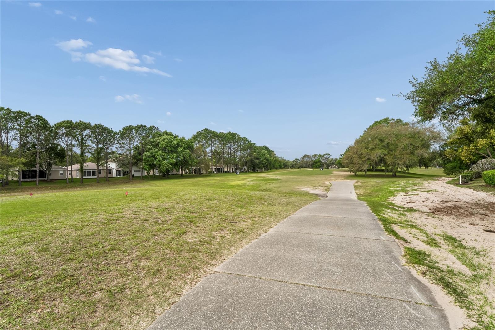 14466 Tamarind Loop Property Photo 47