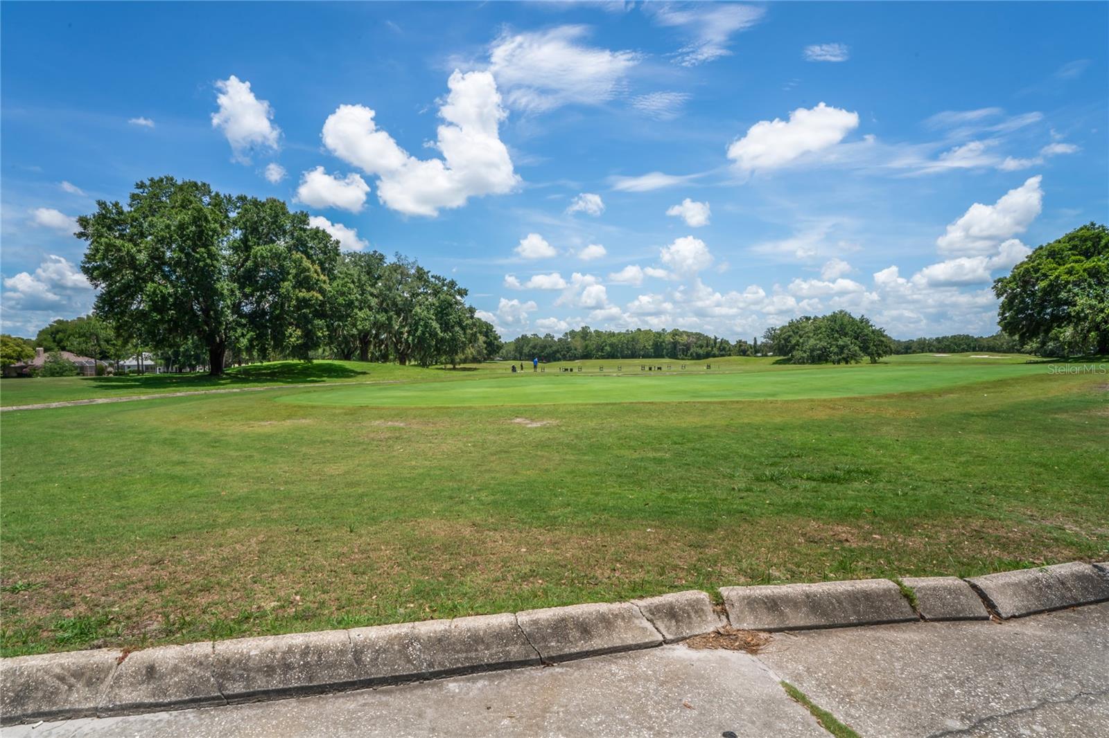 14466 Tamarind Loop Property Photo 81