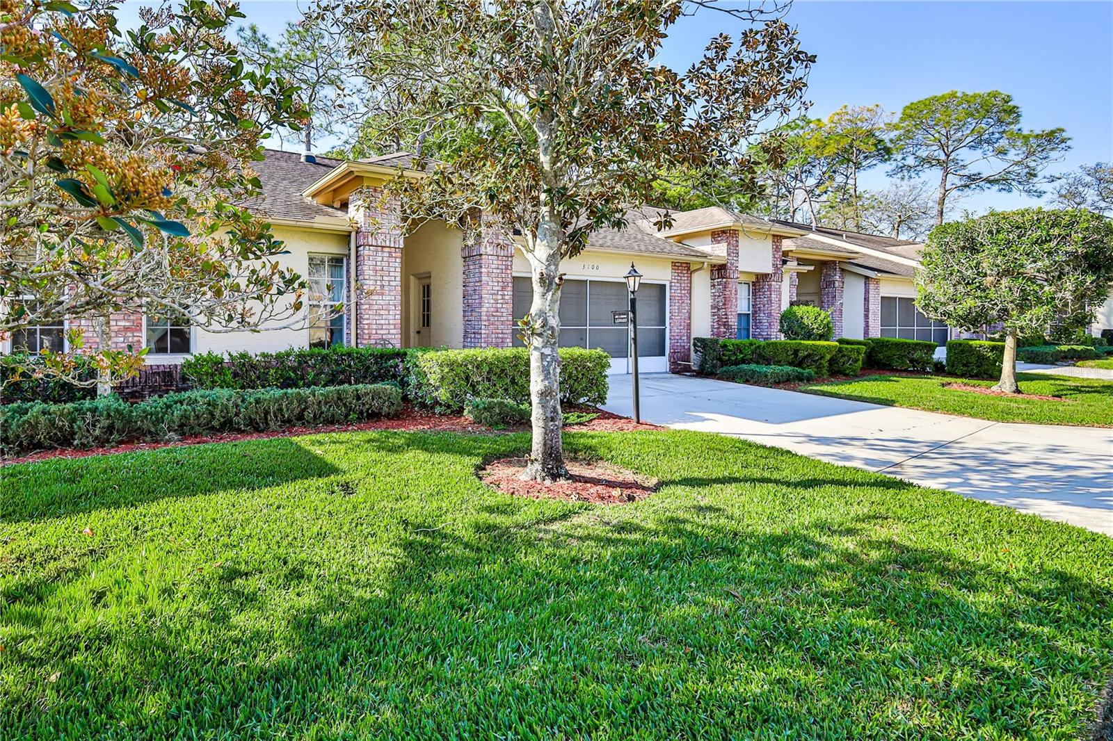 3100 Appleblossom Trl Property Photo 3