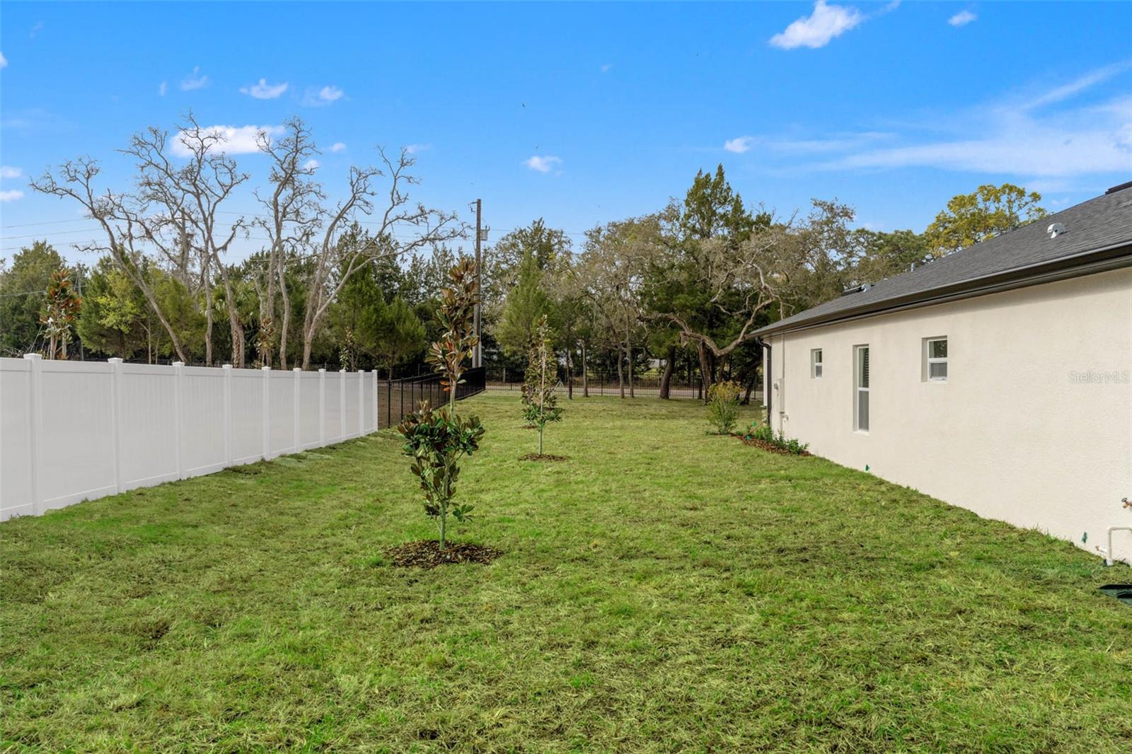 14905 Peace Blvd Property Photo 5