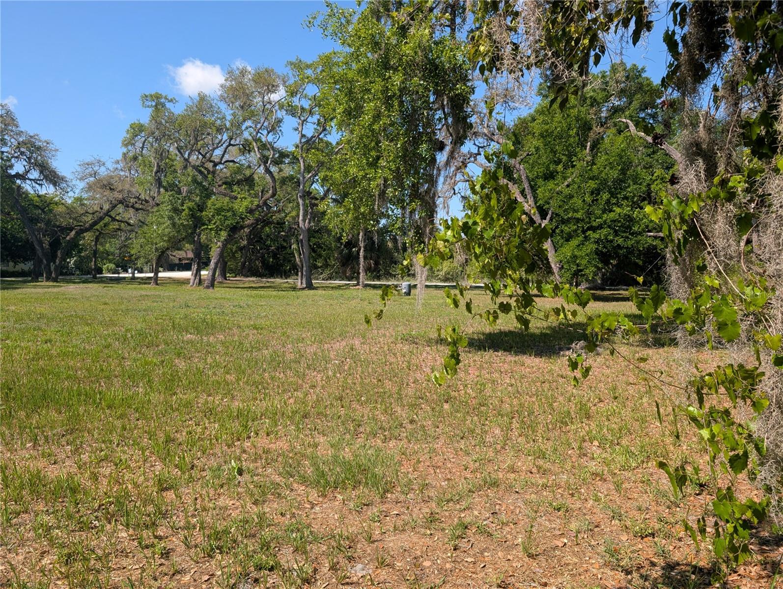 8519 Adonis Rd Property Photo 4