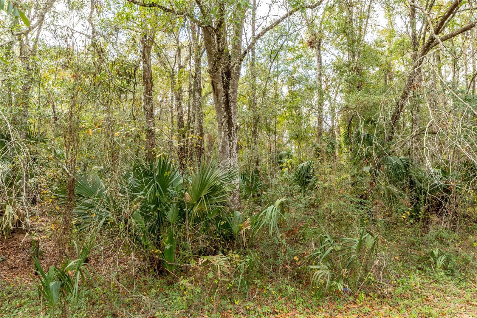 Lake Lindsey Tract 2 Rd Property Photo 7