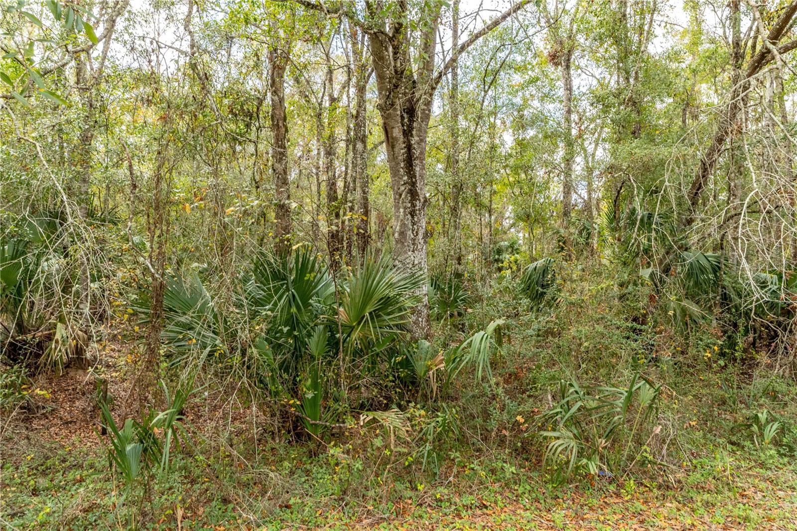 Lake Lindsey Tract 2 Rd Property Photo 8
