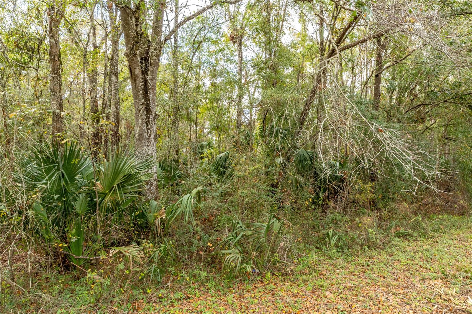 Lake Lindsey Tract 2 Rd Property Photo 9