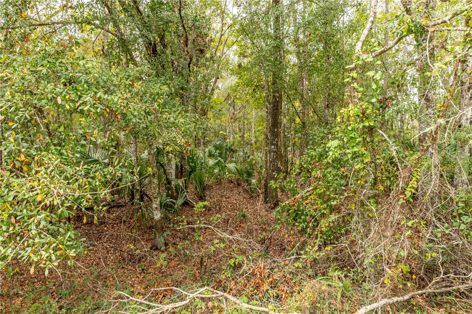 Lake Lindsey Tract 2 Rd Property Photo 10