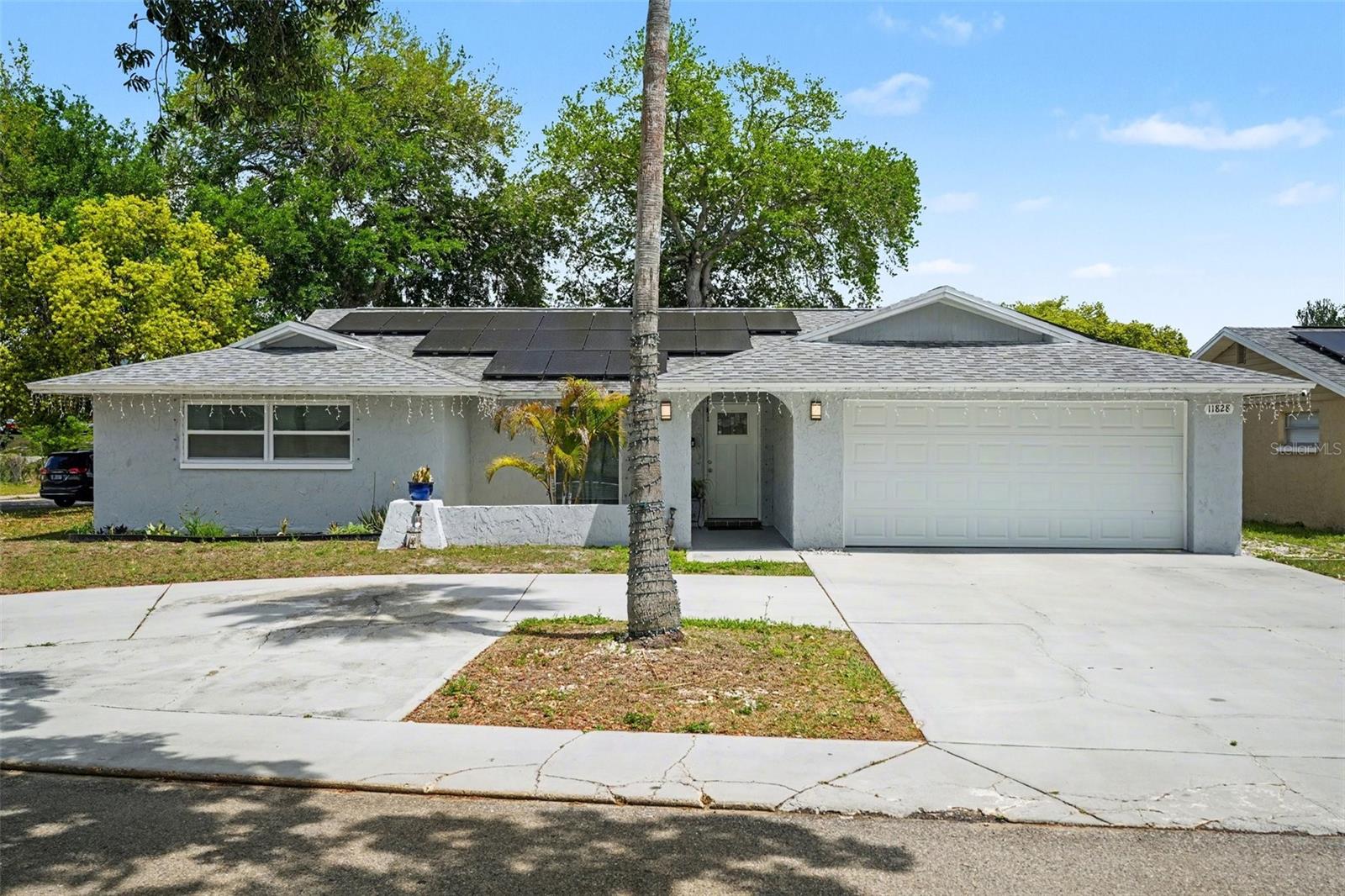11828 Bingham Dr Property Photo 4
