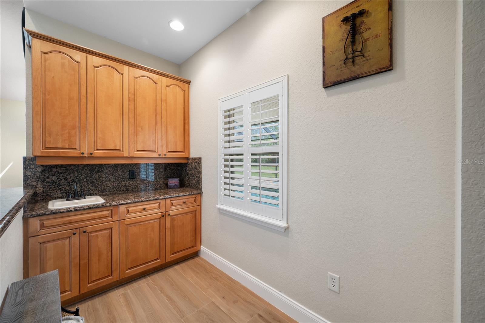 11939 Pasco Trails Blvd Property Photo 32
