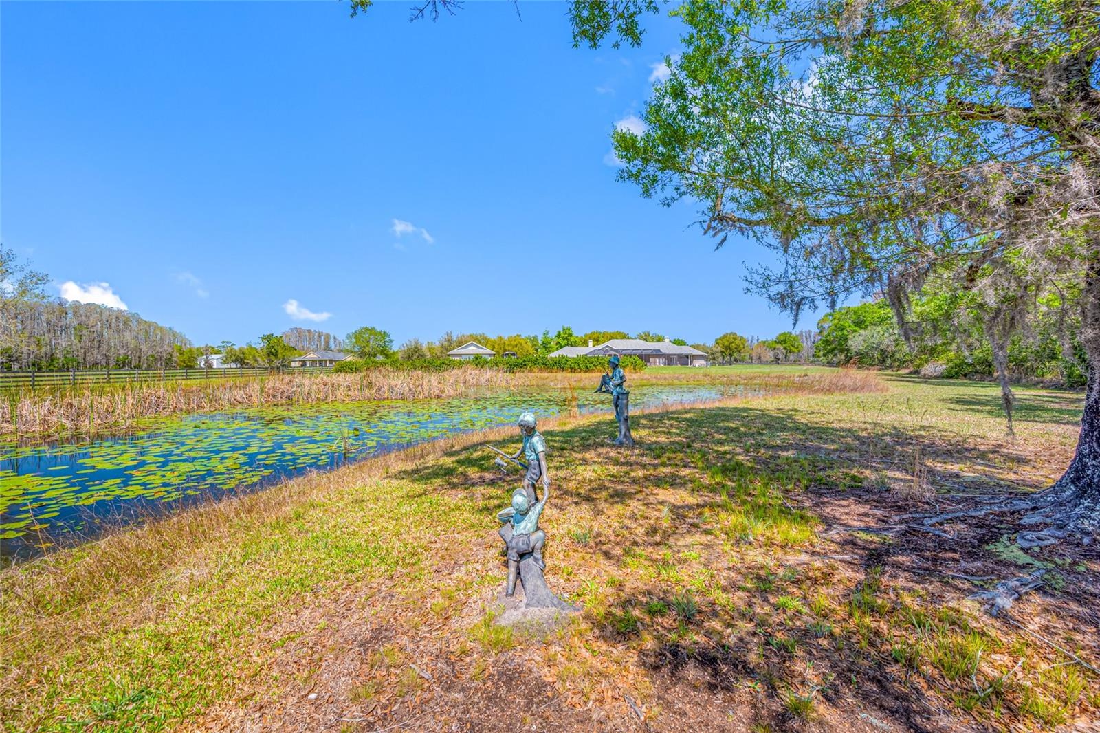 11939 Pasco Trails Blvd Property Photo 58