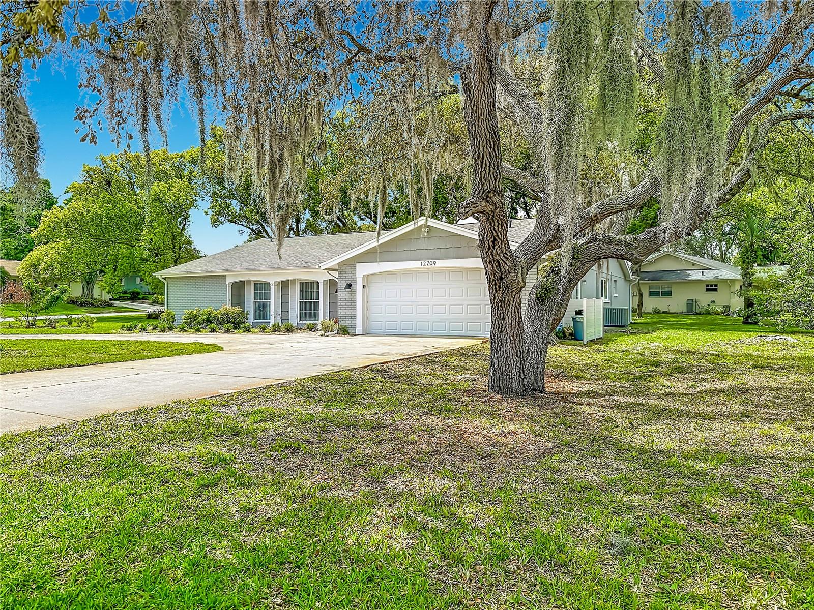 12709 Castleberry Ct Property Photo 5