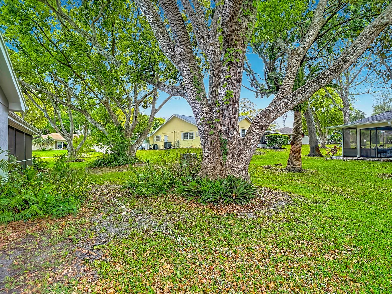12709 Castleberry Ct Property Photo 50