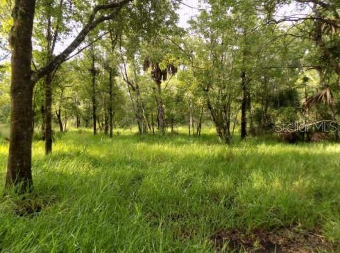5001 Whippoorwill Dr Property Photo 1