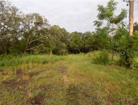 5001 Whippoorwill Dr Property Photo 4