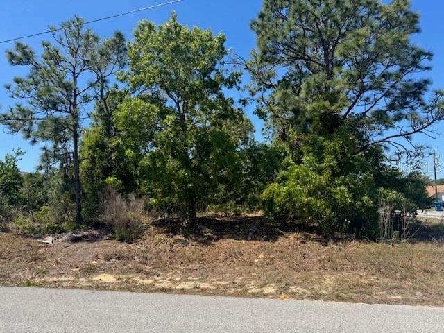 11364 Patch St Property Photo 1