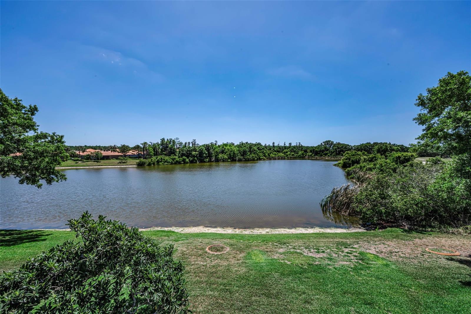 10706 Ruffino Ct Property Photo 46